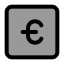 Eurosquare icon with duotone standard style