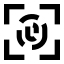 Fingerprintscan icon with solid sharp style
