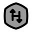 Hackerrank icon with duotone standard style