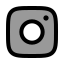 Instagram icon with duotone rounded style